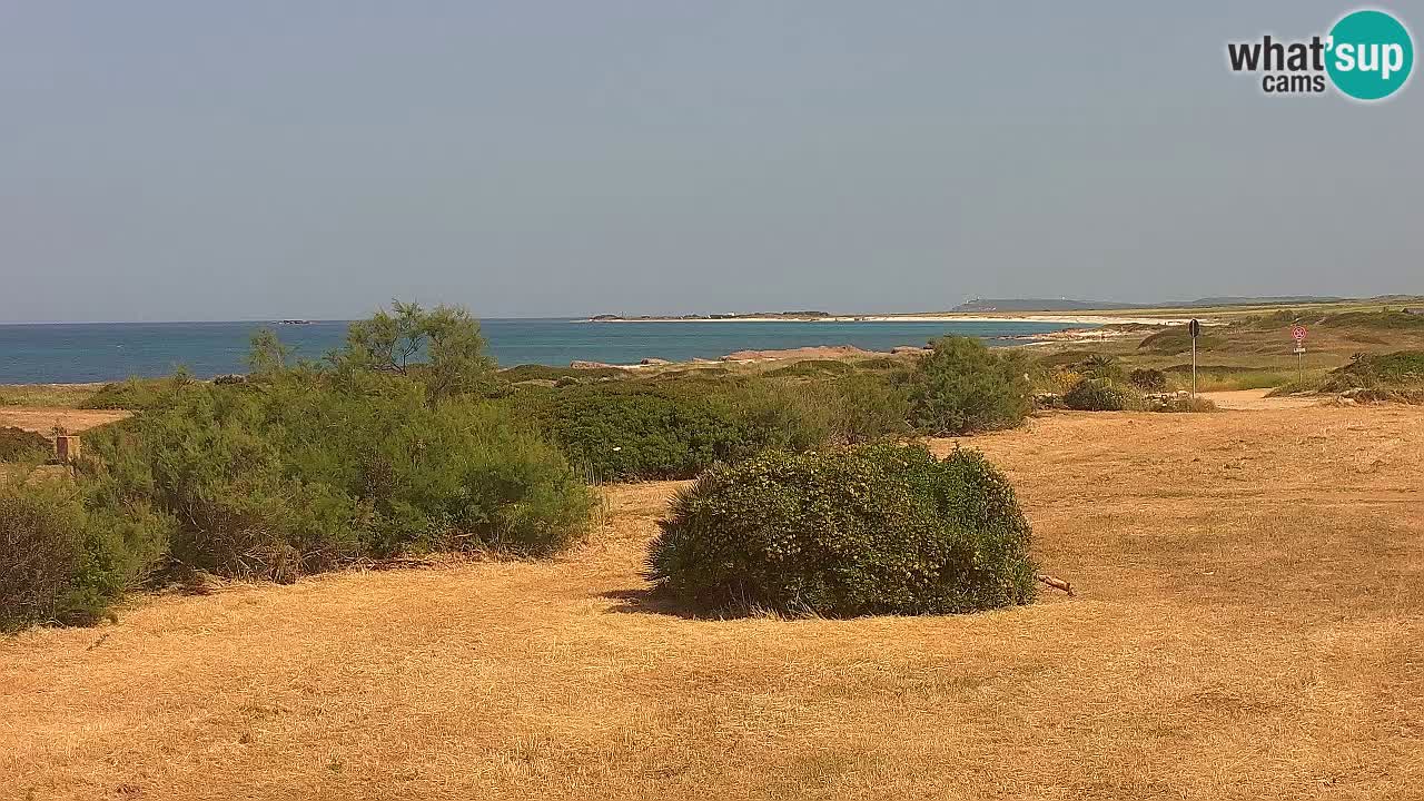 Plage Mari Ermi | Is Arutas – Oristano