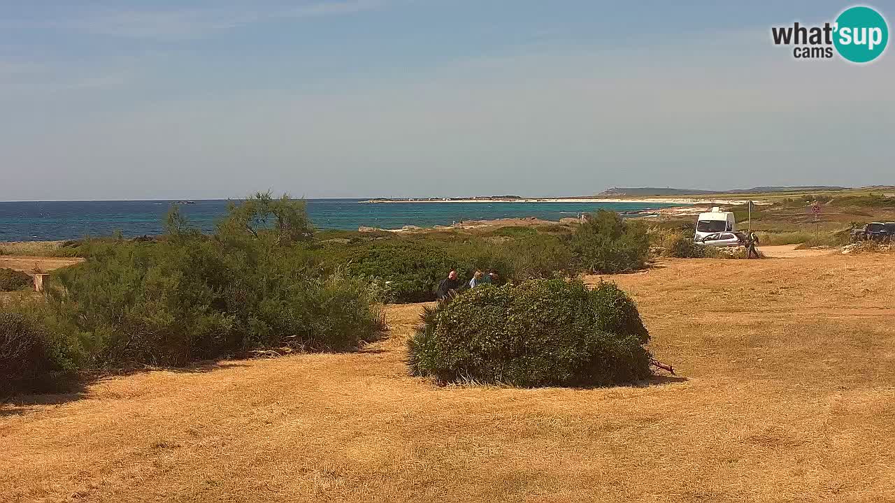 Mari Ermi Strand | Is Arutas – Oristano