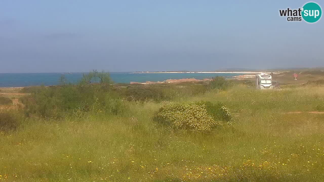 Plage Mari Ermi | Is Arutas – Oristano