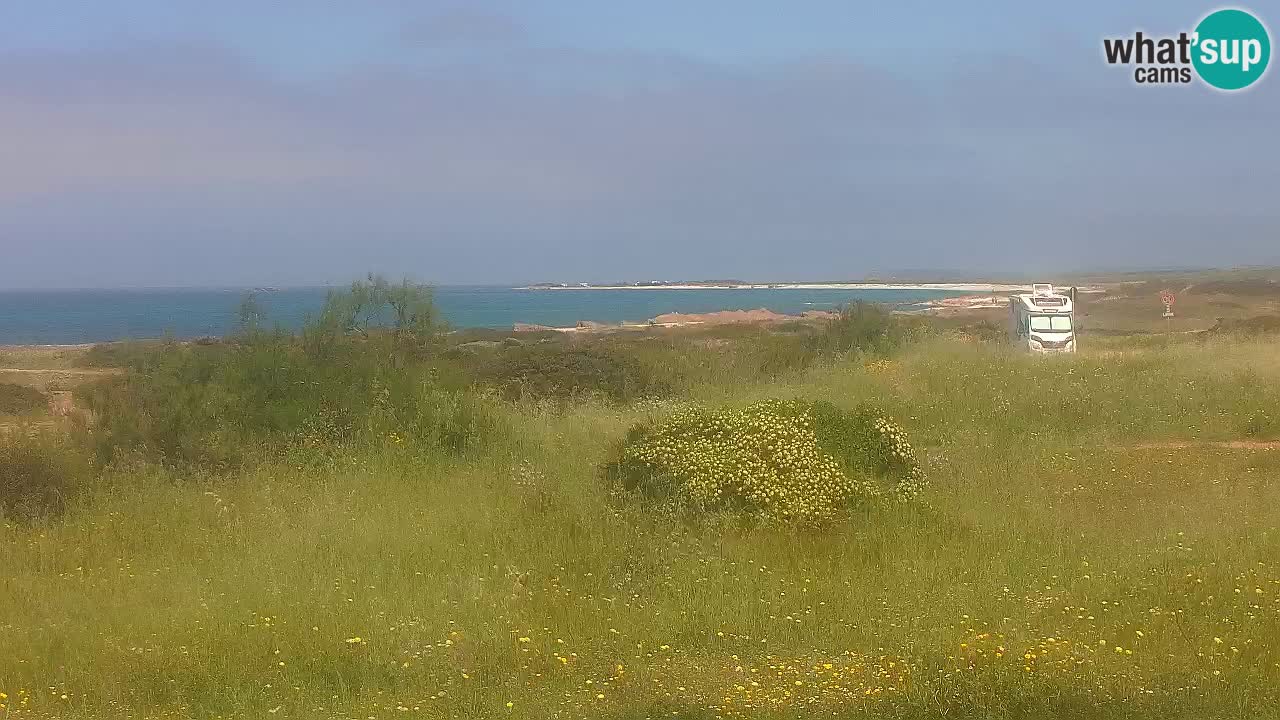 Plaža Mari Ermi | Is Arutas – Oristano