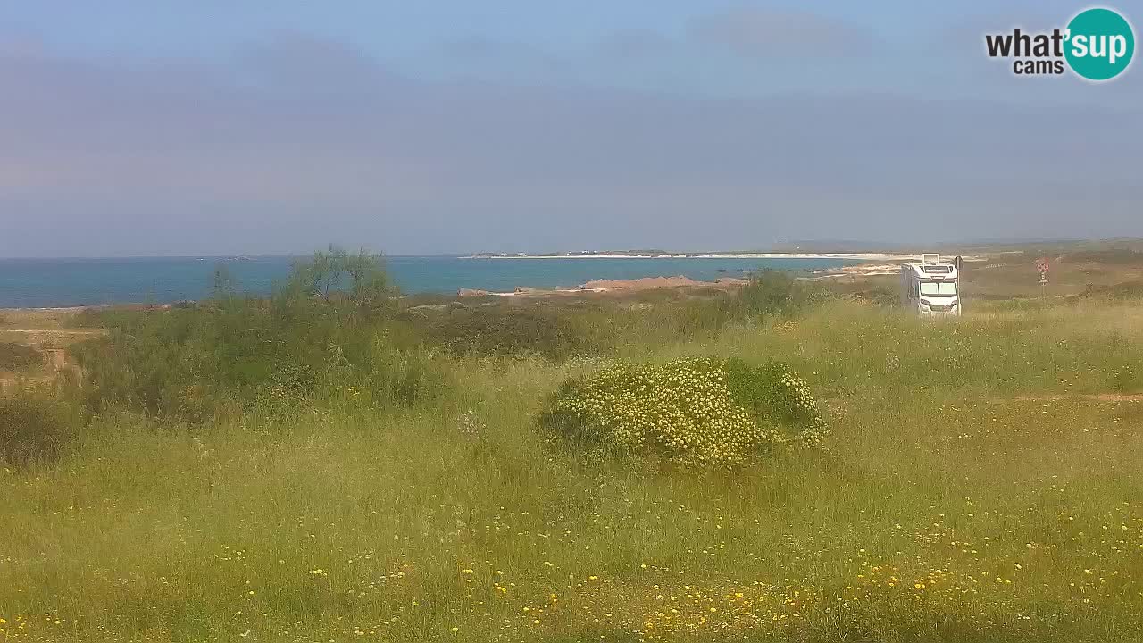 Plage Mari Ermi | Is Arutas – Oristano