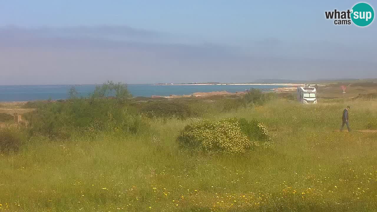 Mari Ermi beach | Is Arutas – Oristano