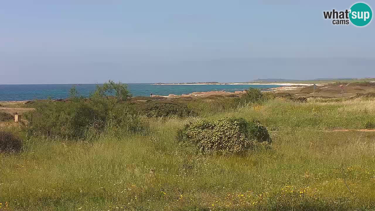 Mari Ermi beach | Is Arutas – Oristano