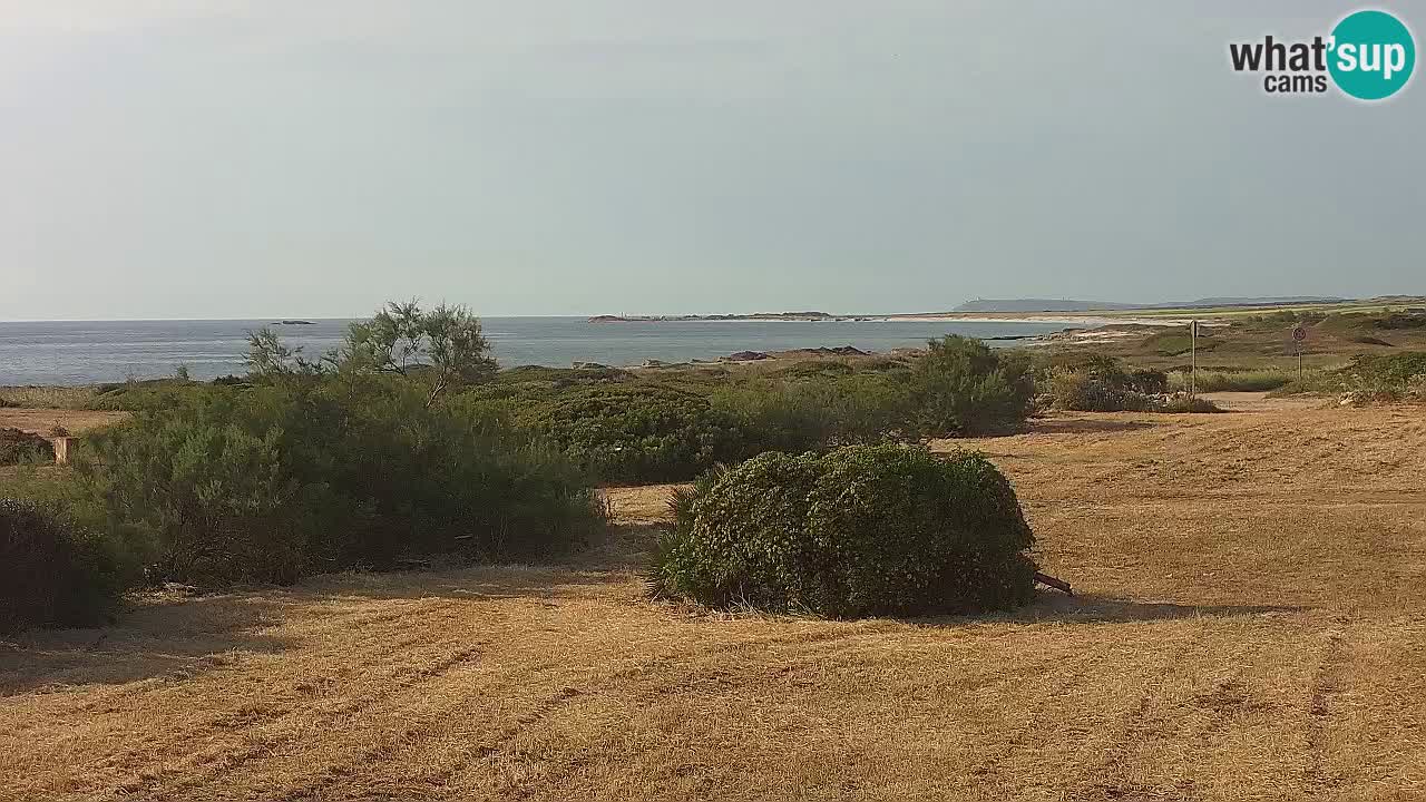 Plage Mari Ermi | Is Arutas – Oristano