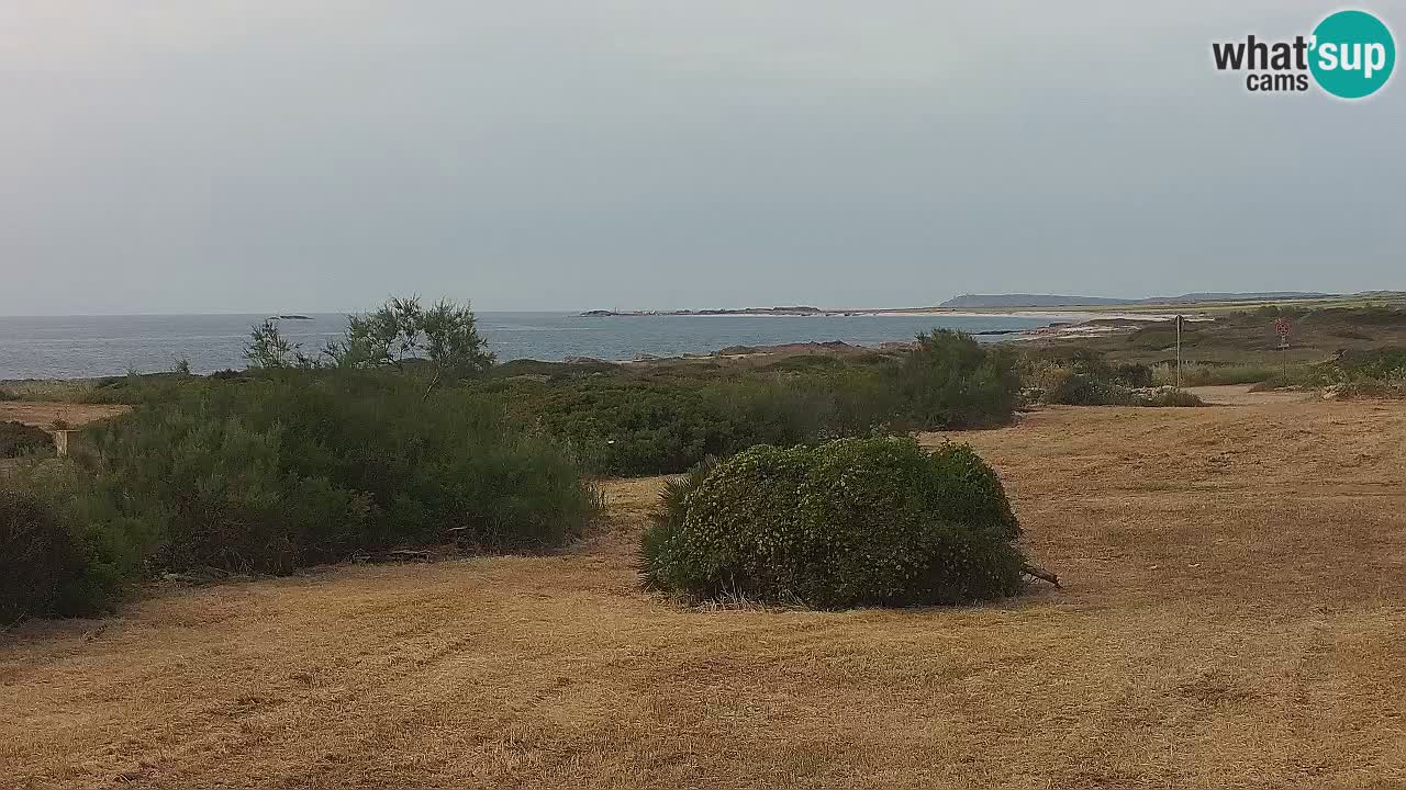Playa Mari Ermi | Is Arutas – Oristano