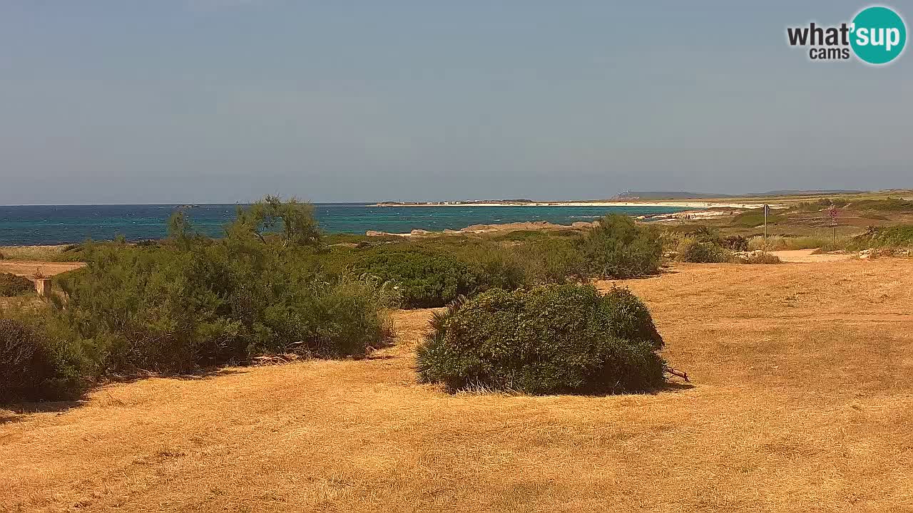 Mari Ermi Strand | Is Arutas – Oristano