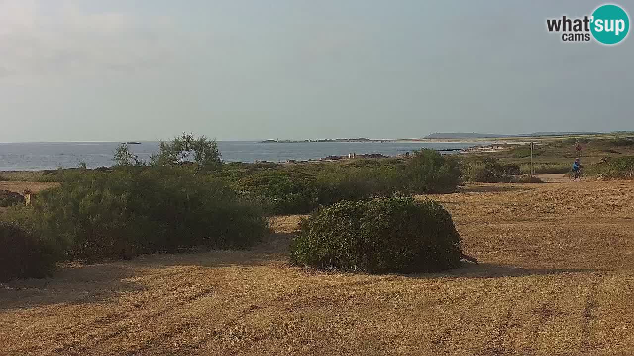 Mari Ermi Strand | Is Arutas – Oristano