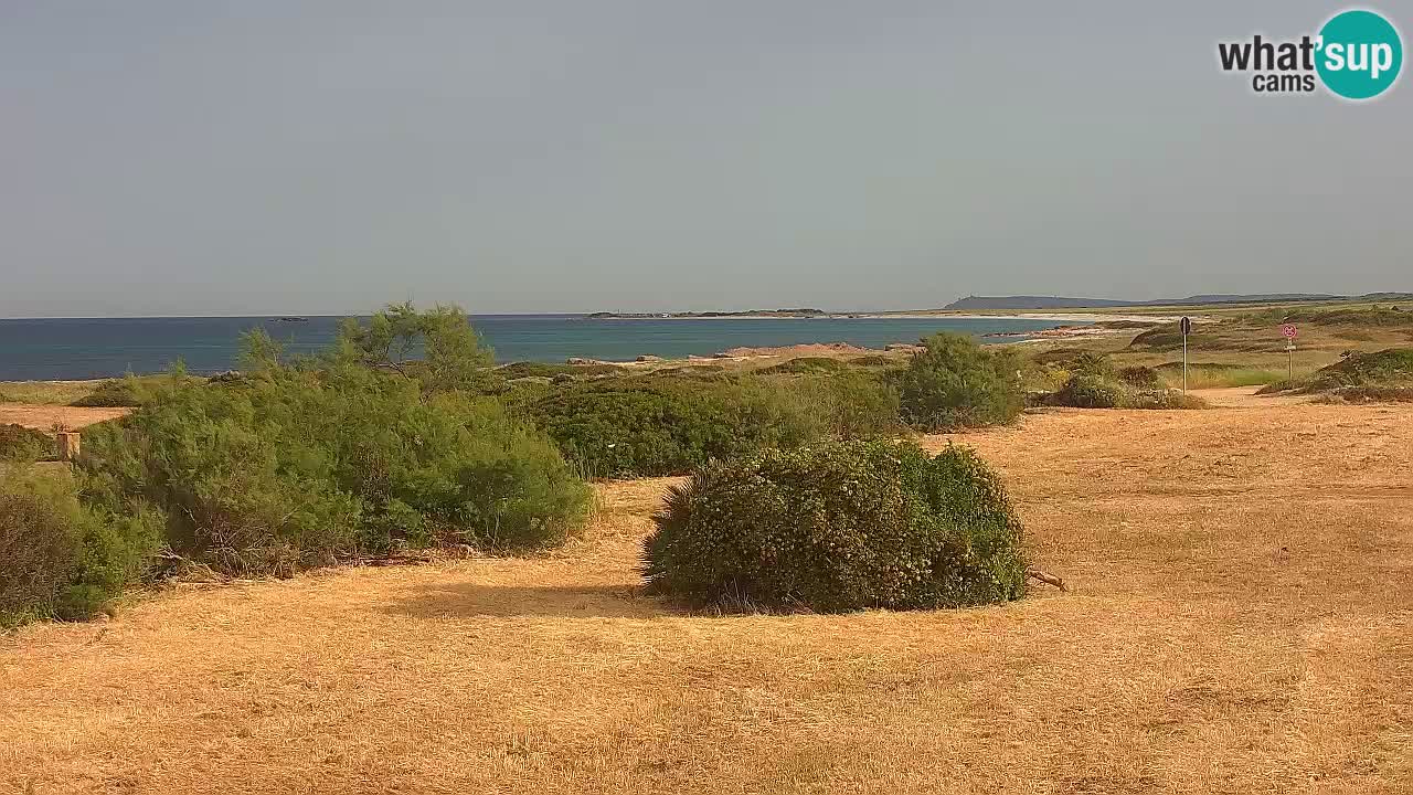 Mari Ermi beach | Is Arutas – Oristano