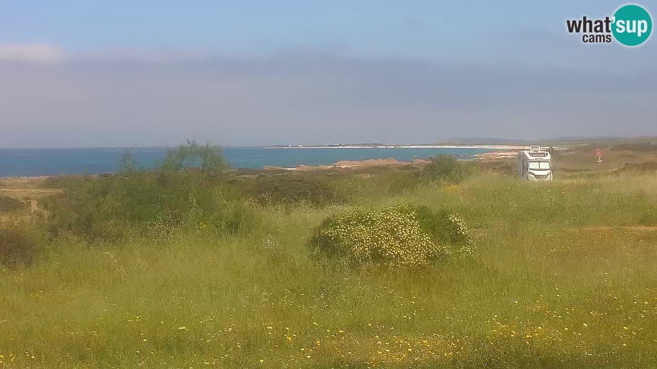 Plaža Mari Ermi | Is Arutas – Oristano