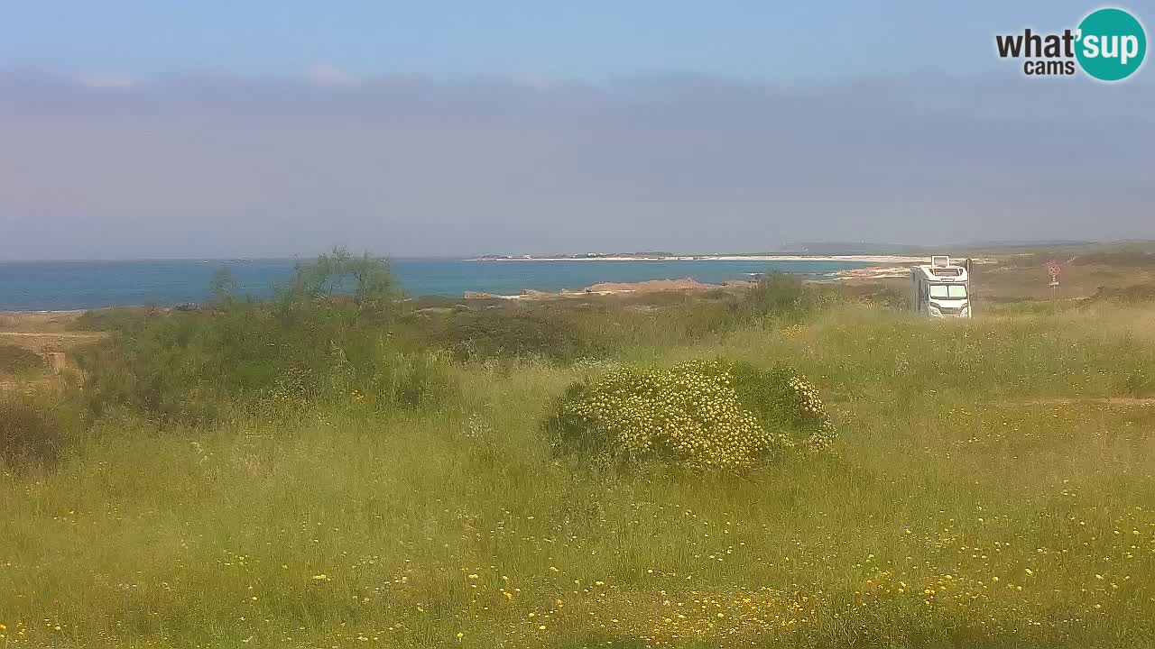 Mari Ermi Strand | Is Arutas – Oristano