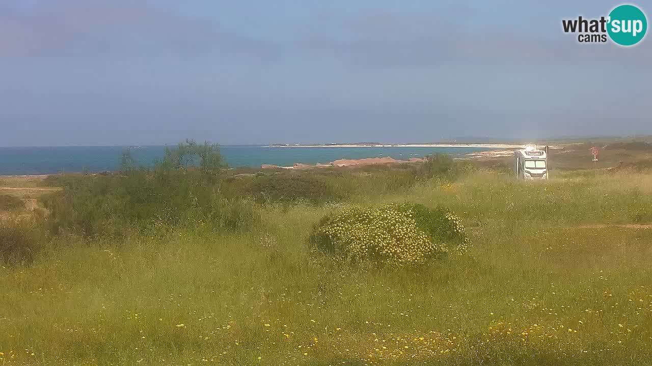 Spiaggia Mari Ermi | Is Arutas – Oristano