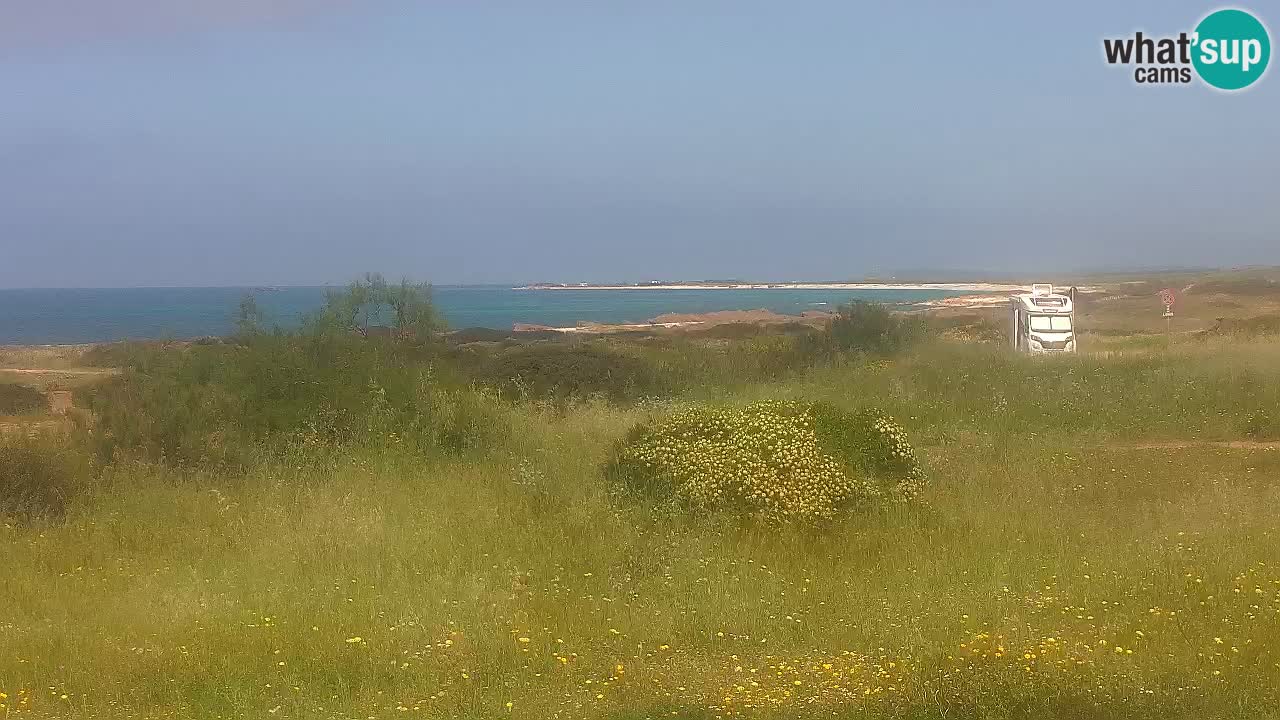 Mari Ermi beach | Is Arutas – Oristano