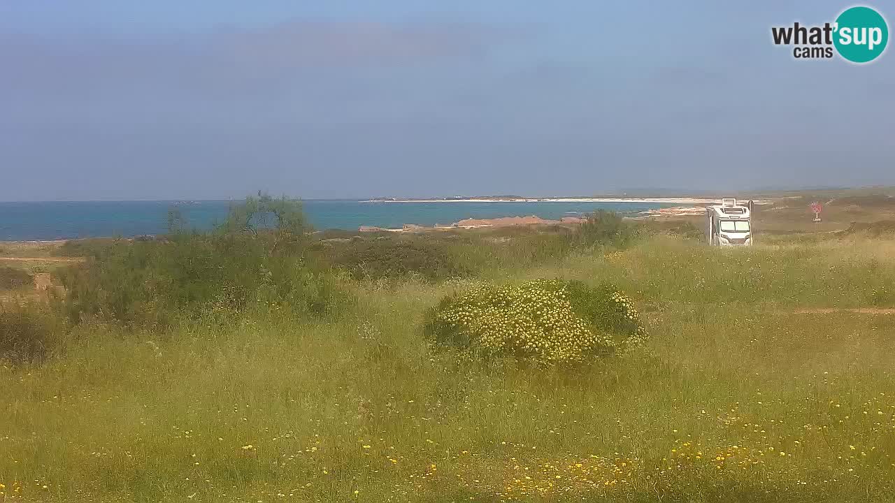 Mari Ermi beach | Is Arutas – Oristano