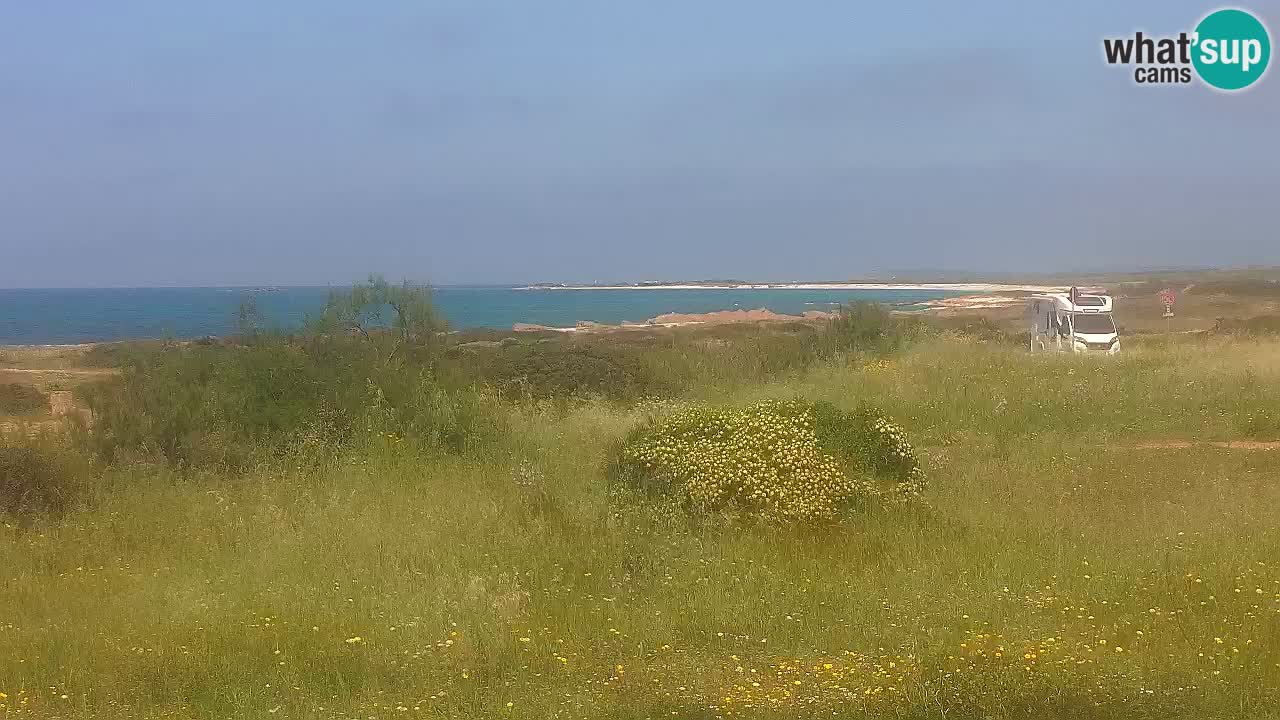 Plaža Mari Ermi | Is Arutas – Oristano