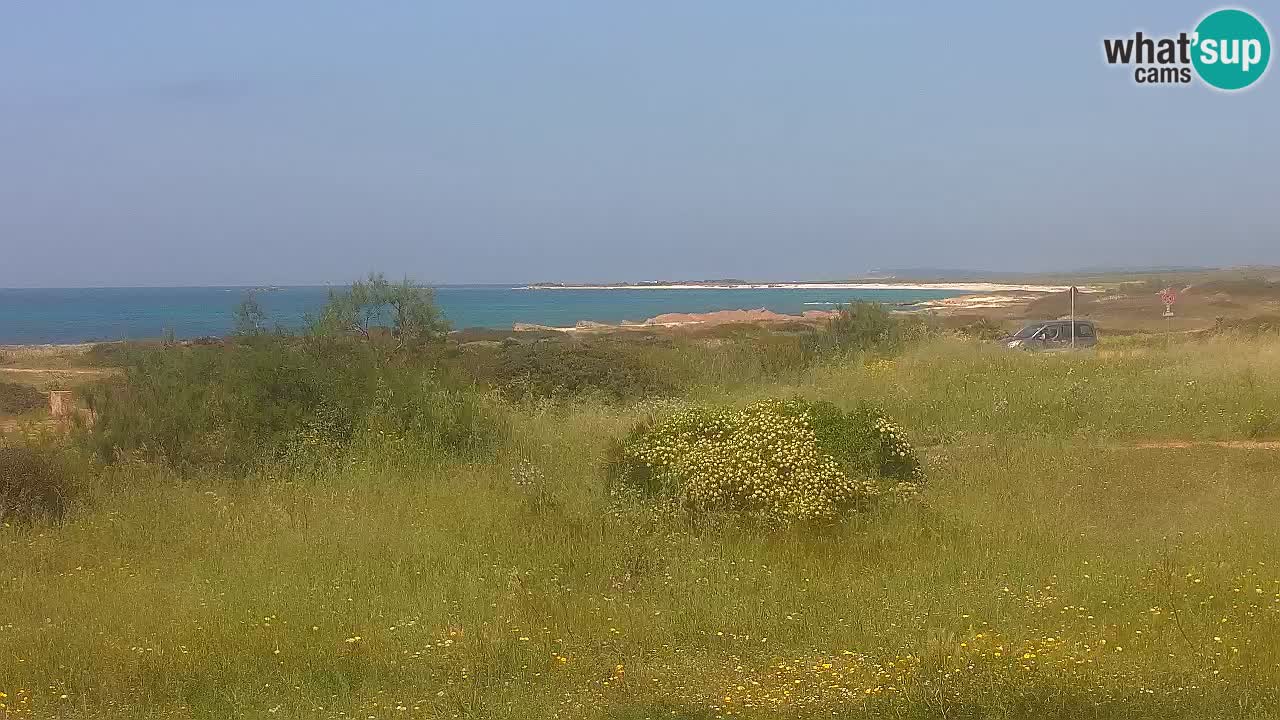 Spiaggia Mari Ermi | Is Arutas – Oristano