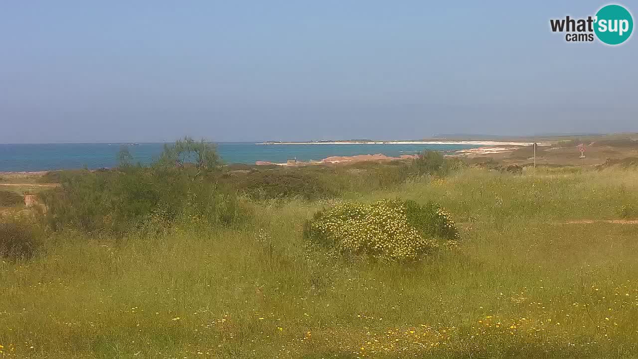 Plage Mari Ermi | Is Arutas – Oristano