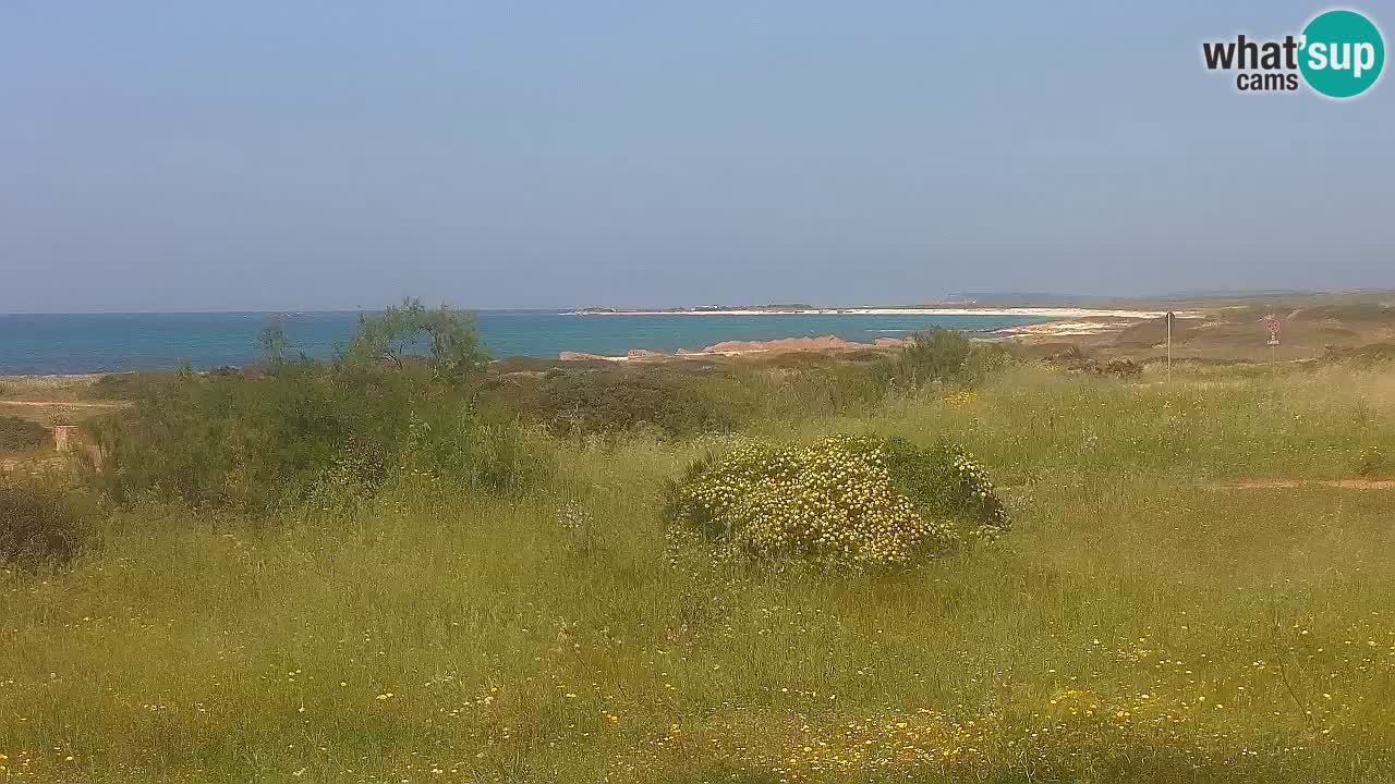 Playa Mari Ermi | Is Arutas – Oristano