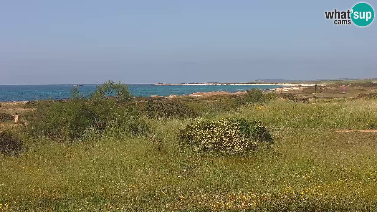 Mari Ermi beach | Is Arutas – Oristano