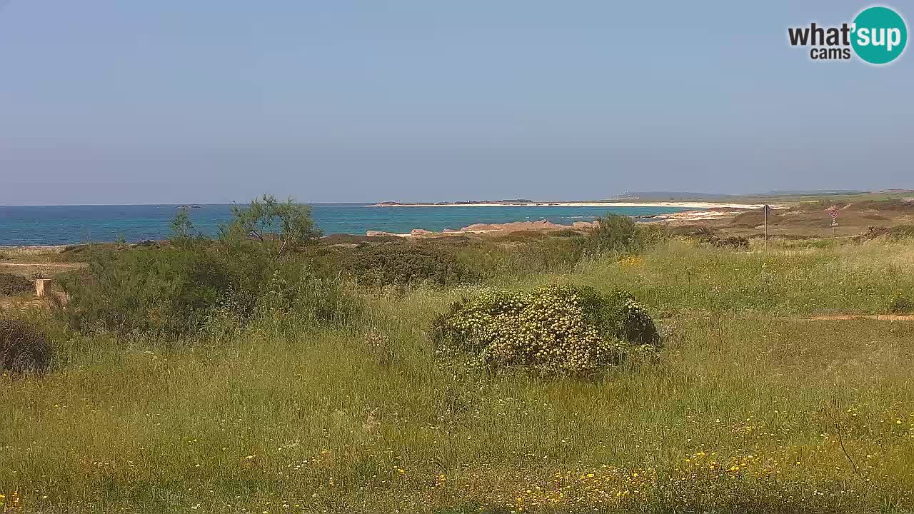 Mari Ermi beach | Is Arutas – Oristano