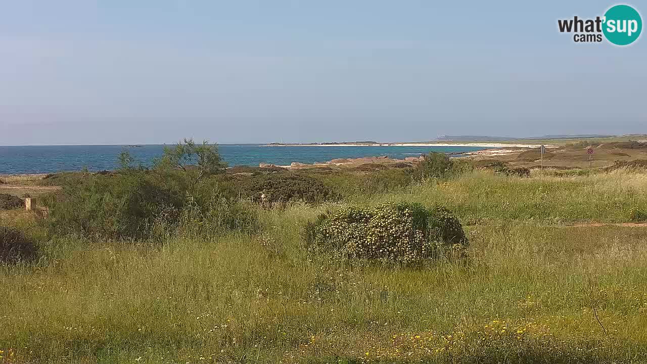 Mari Ermi Strand | Is Arutas – Oristano