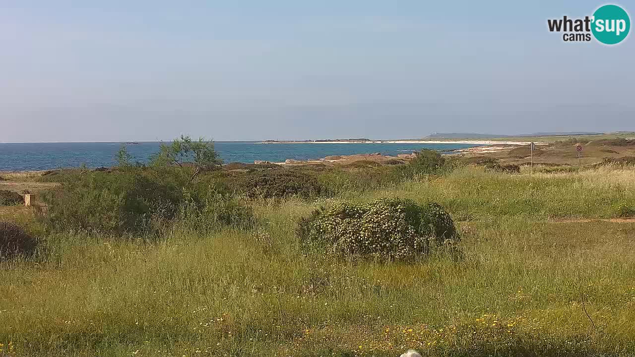 Mari Ermi beach | Is Arutas – Oristano