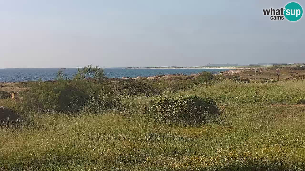 Spiaggia Mari Ermi | Is Arutas – Oristano