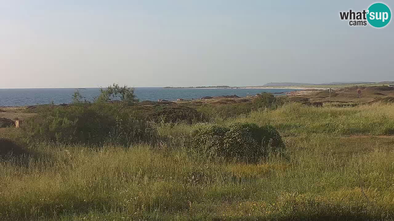 Spiaggia Mari Ermi | Is Arutas – Oristano