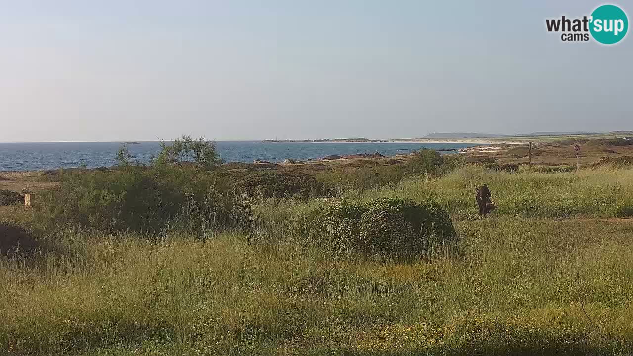 Spiaggia Mari Ermi | Is Arutas – Oristano