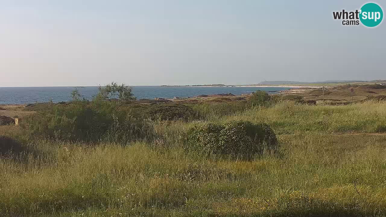 Spiaggia Mari Ermi | Is Arutas – Oristano