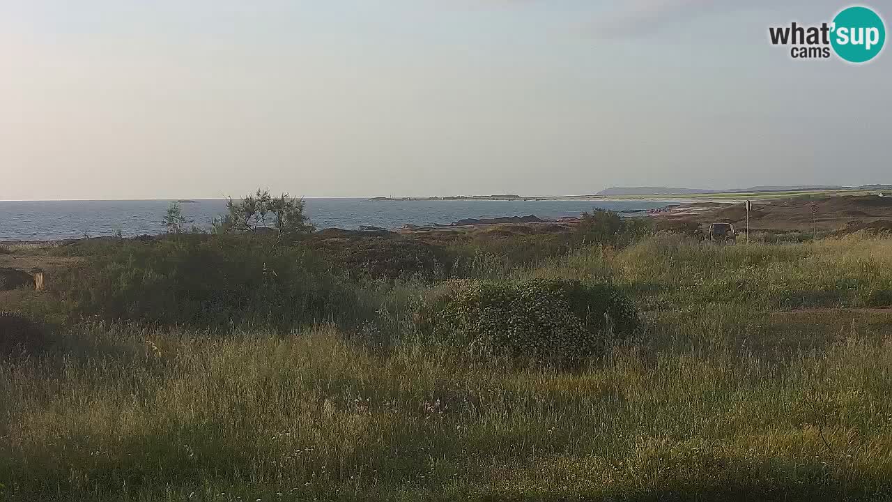 Spiaggia Mari Ermi | Is Arutas – Oristano