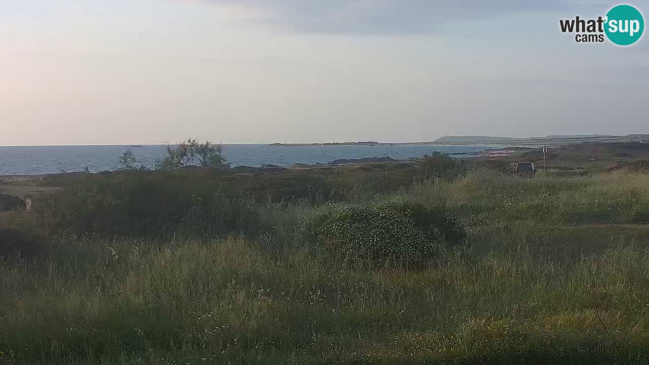 Mari Ermi Strand | Is Arutas – Oristano