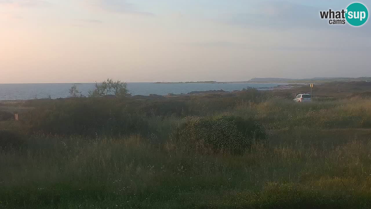 Mari Ermi Strand | Is Arutas – Oristano