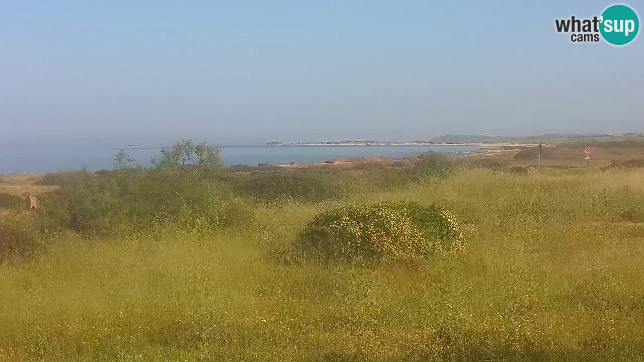 Spiaggia Mari Ermi | Is Arutas – Oristano