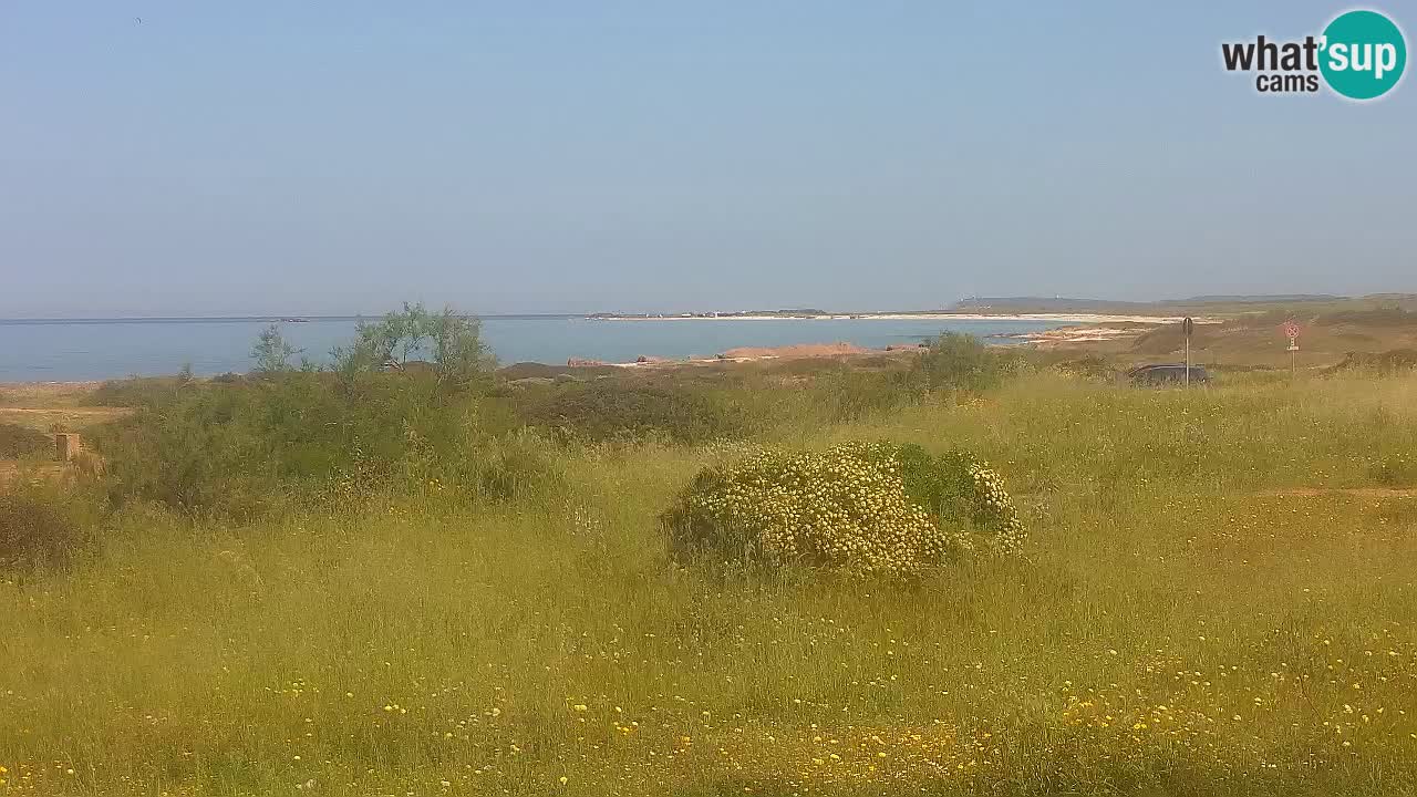 Spiaggia Mari Ermi | Is Arutas – Oristano