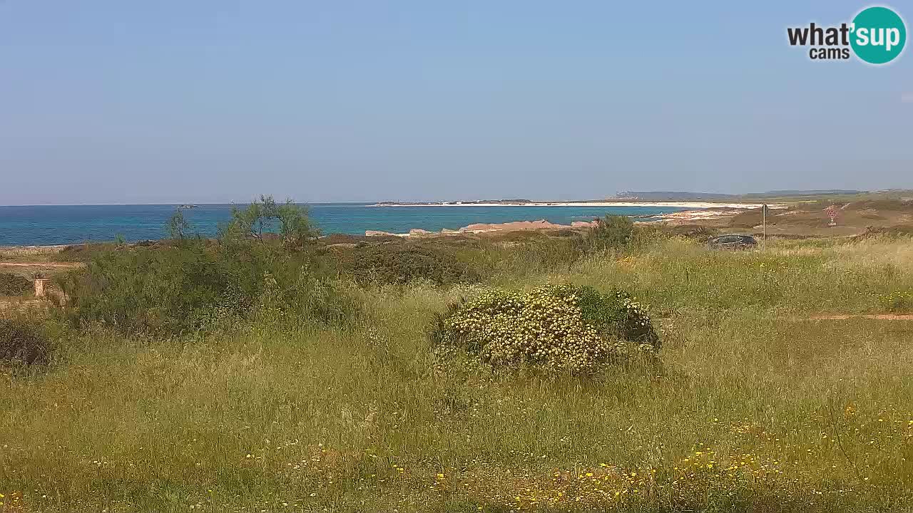 Plaža Mari Ermi | Is Arutas – Oristano