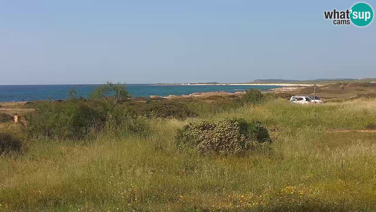 Plaža Mari Ermi | Is Arutas – Oristano