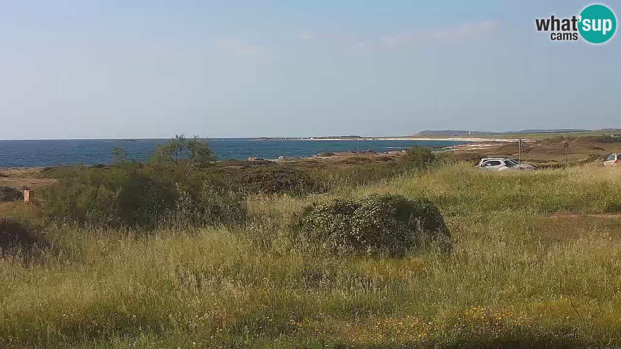 Plaža Mari Ermi | Is Arutas – Oristano