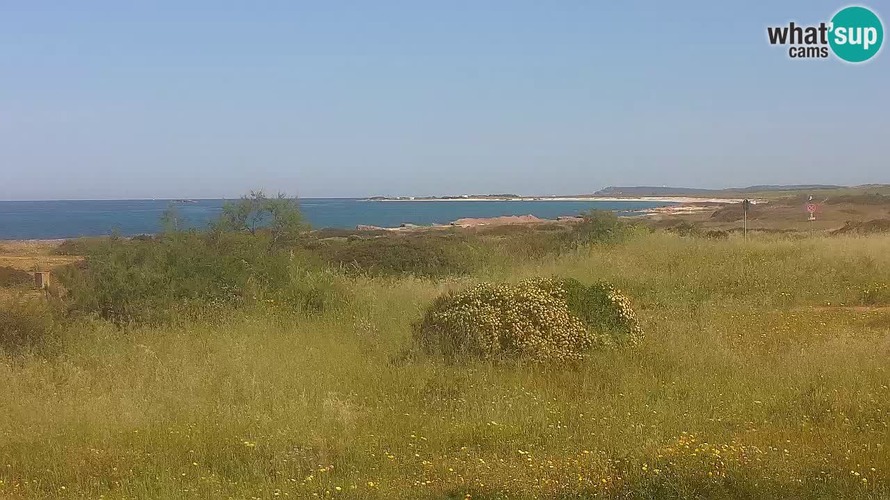 Mari Ermi beach | Is Arutas – Oristano
