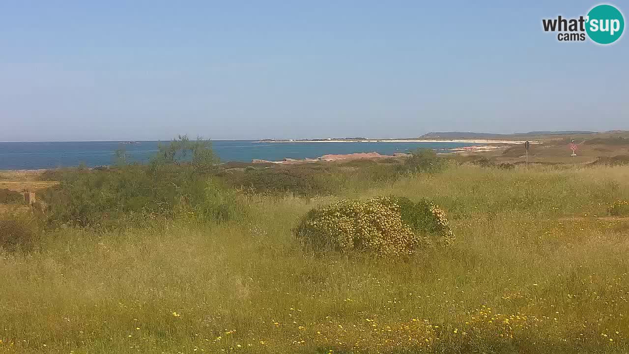 Plaža Mari Ermi | Is Arutas – Oristano