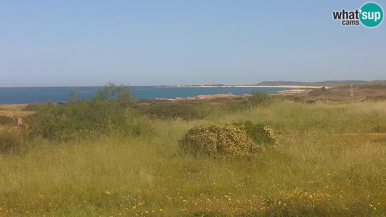 Playa Mari Ermi | Is Arutas – Oristano