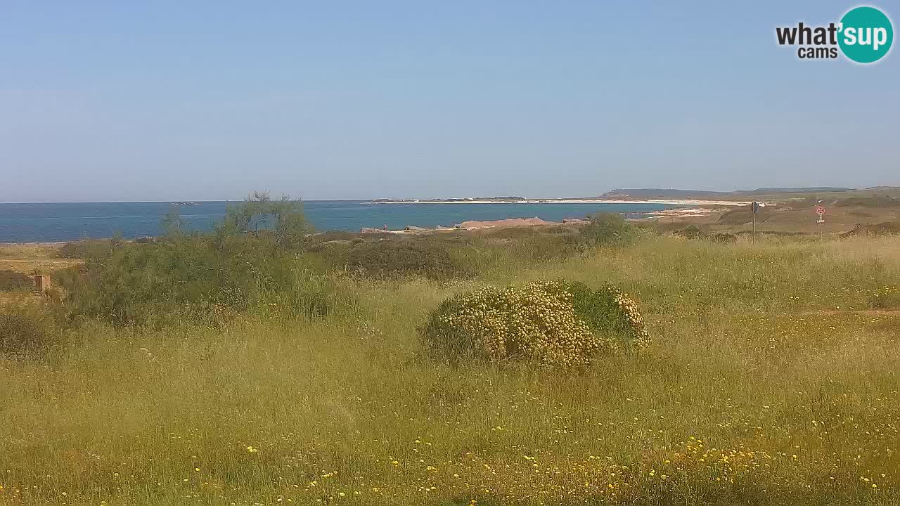Mari Ermi beach | Is Arutas – Oristano