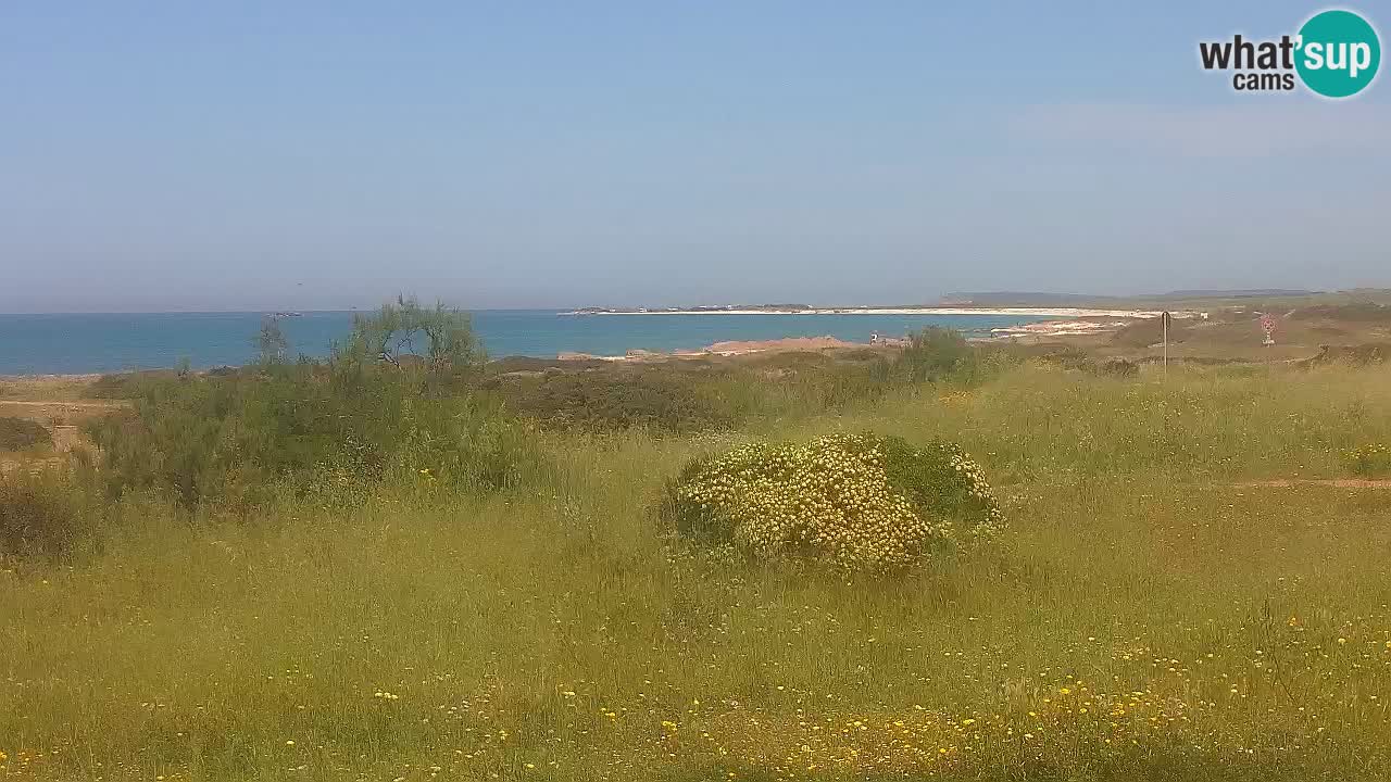 Playa Mari Ermi | Is Arutas – Oristano