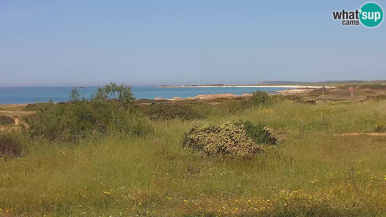 Plage Mari Ermi | Is Arutas – Oristano