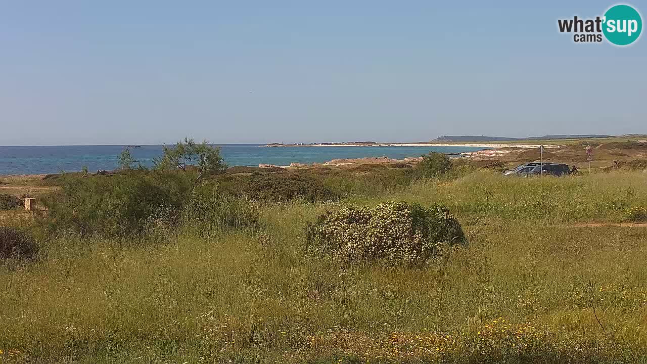 Mari Ermi Strand | Is Arutas – Oristano