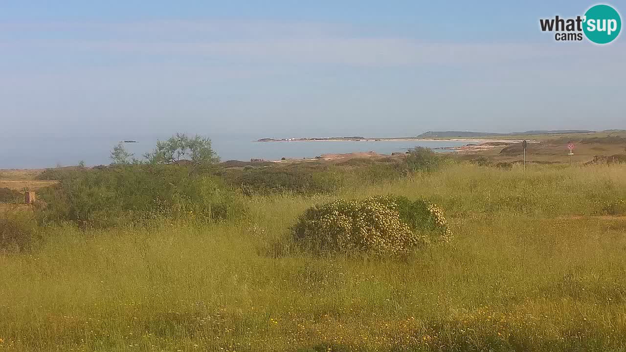 Mari Ermi beach | Is Arutas – Oristano