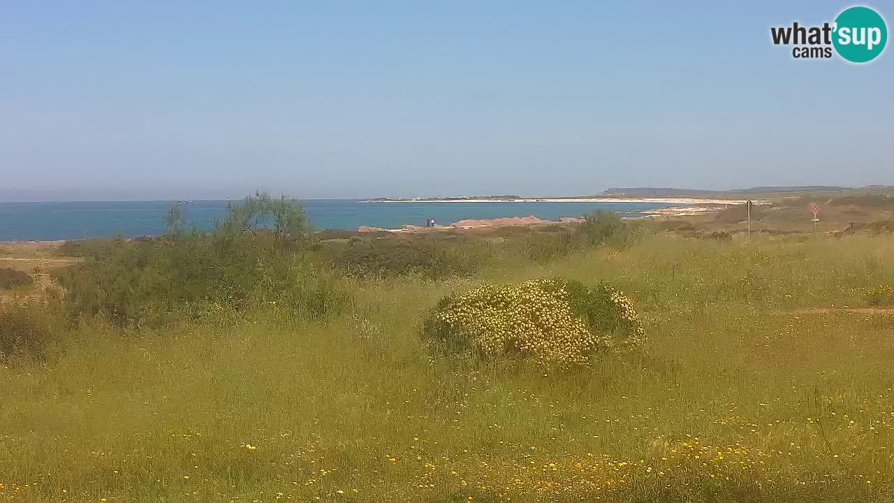 Playa Mari Ermi | Is Arutas – Oristano
