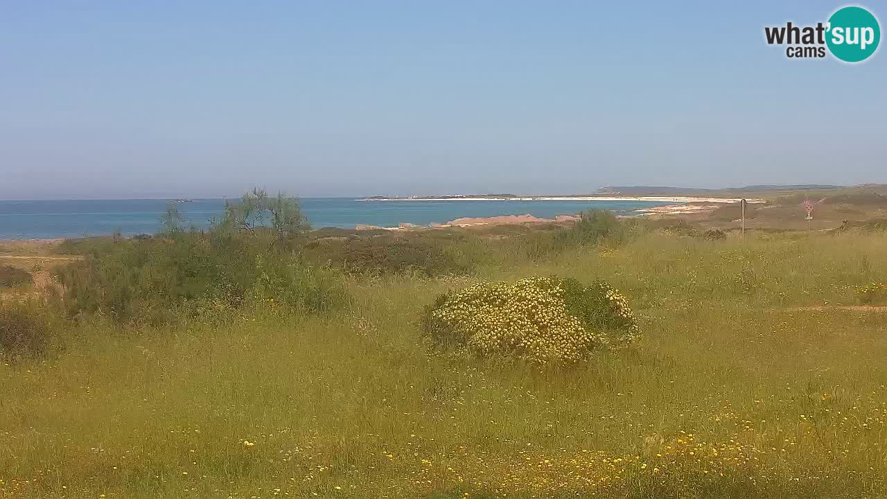 Plaža Mari Ermi | Is Arutas – Oristano