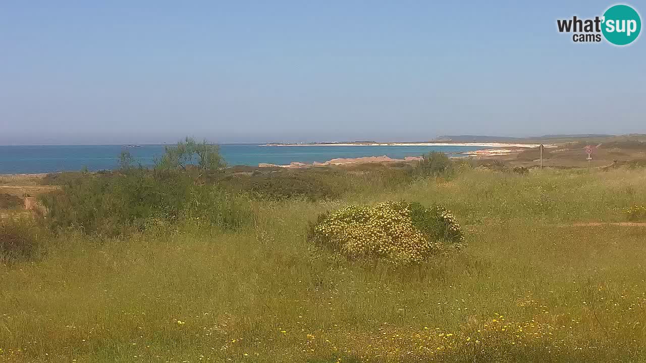 Playa Mari Ermi | Is Arutas – Oristano