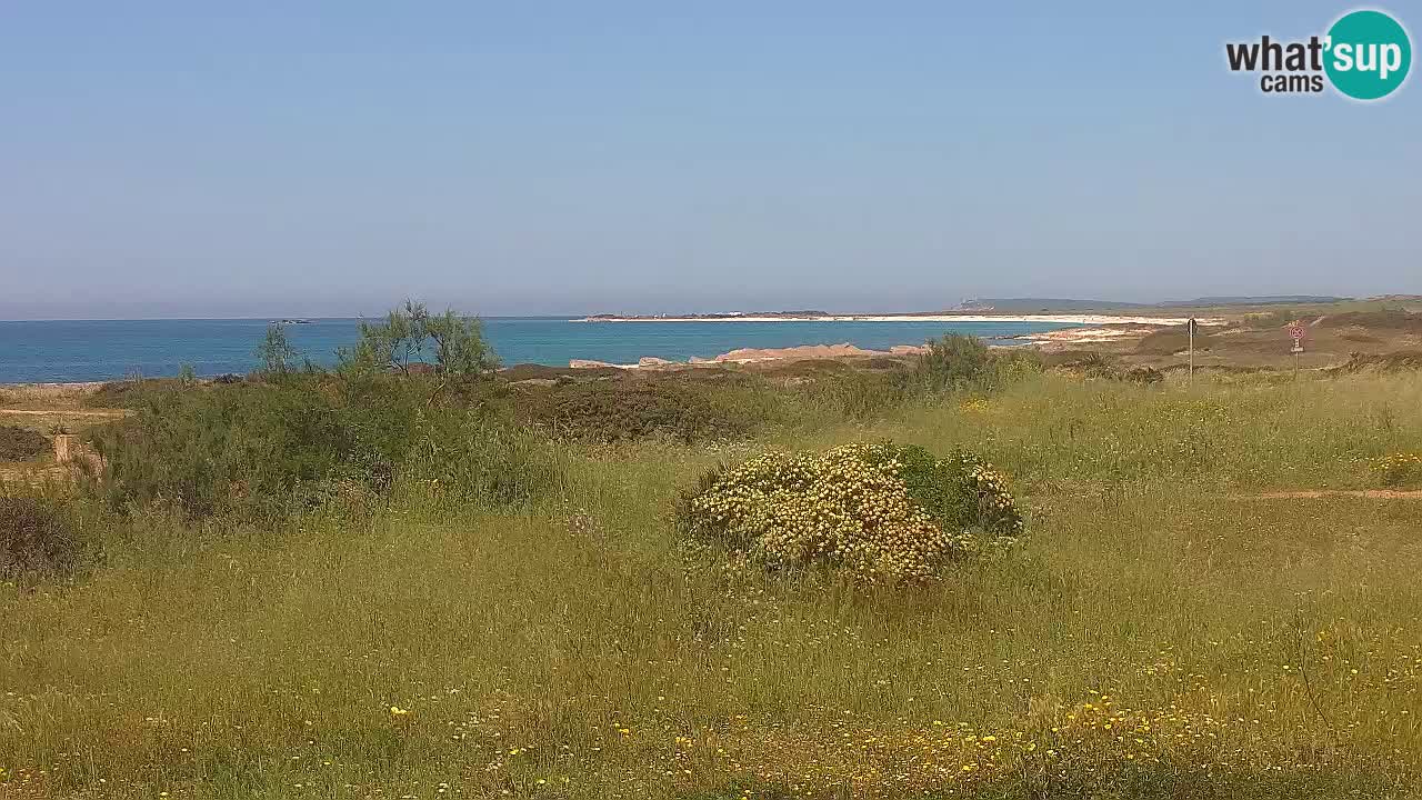 Mari Ermi beach | Is Arutas – Oristano