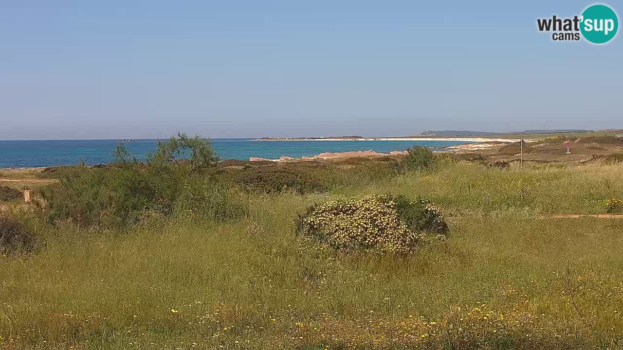 Mari Ermi beach | Is Arutas – Oristano